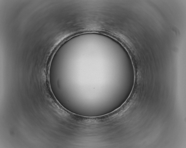 X0000110861212200906181134