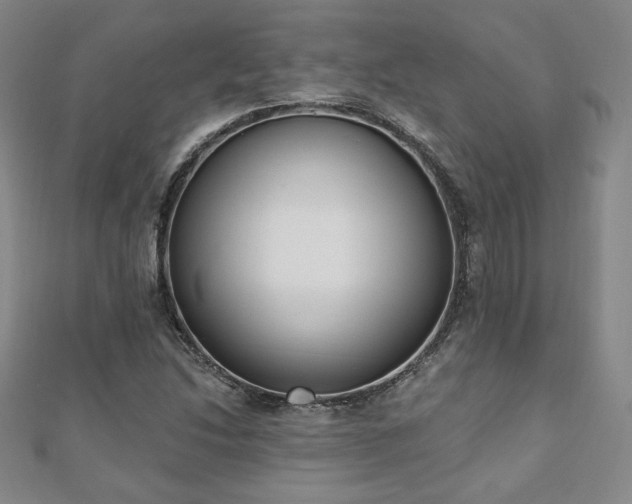 X0000110861214200906181134