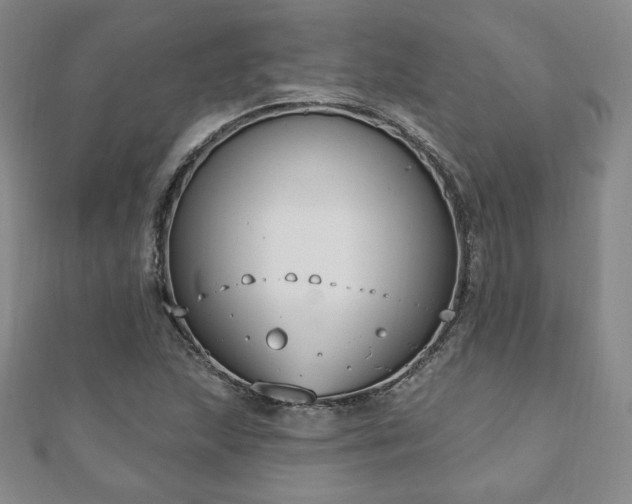X0000110861215200906181134