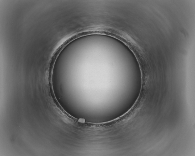 X0000110861216200906181134