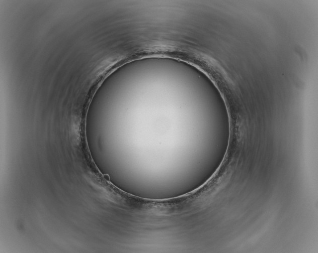 X0000110861217200906181134