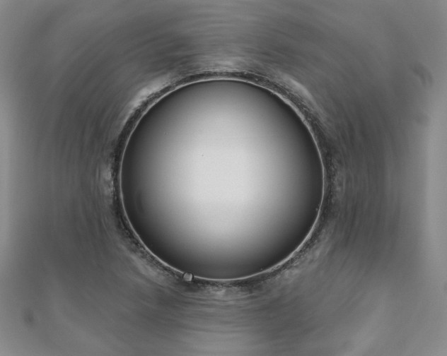 X0000110861218200906181134
