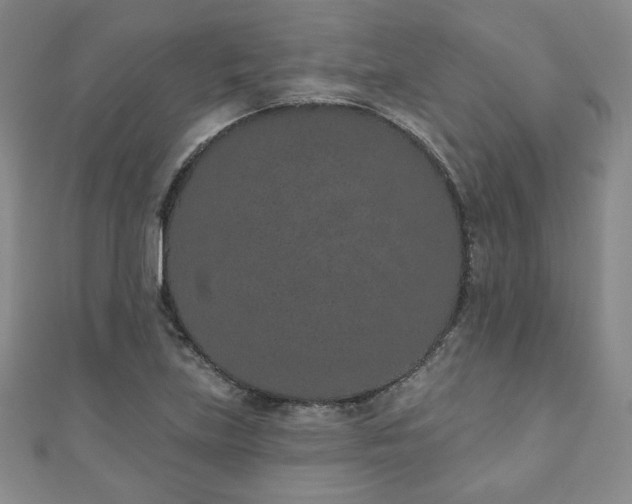 X0000110861219200906181134
