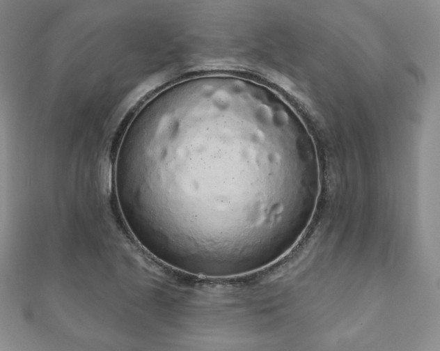 X0000110861221200906181134