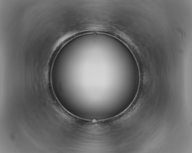X0000110861222200906181134