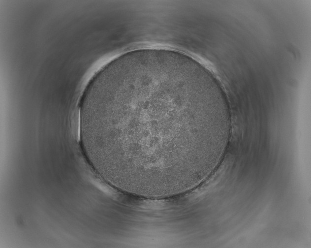 X0000110861223200906181134
