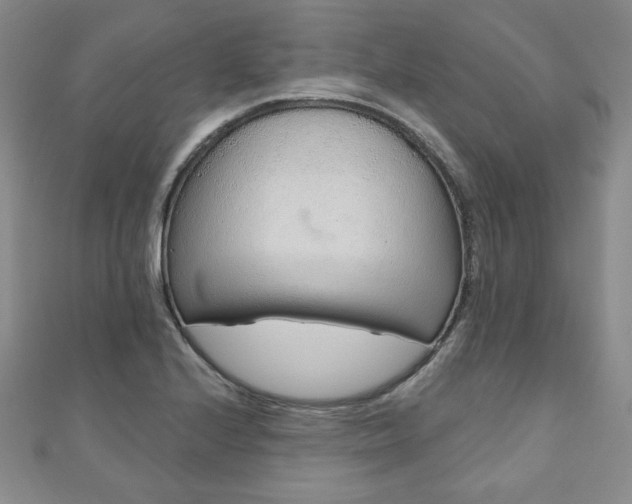 X0000110861224200906181134