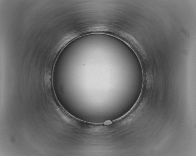 X0000110861225200906181134