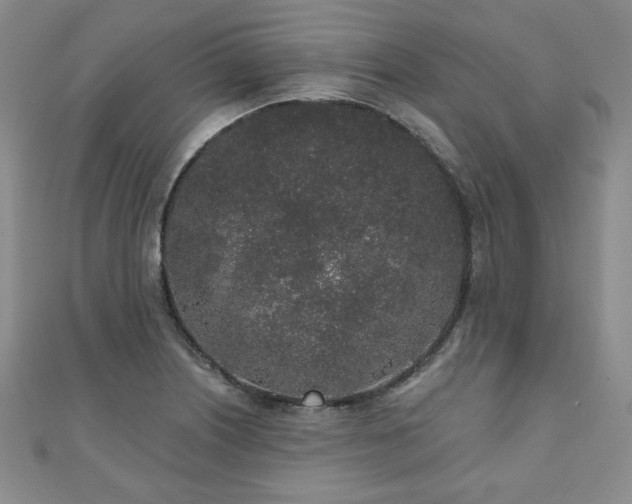 X0000110861226200906181134