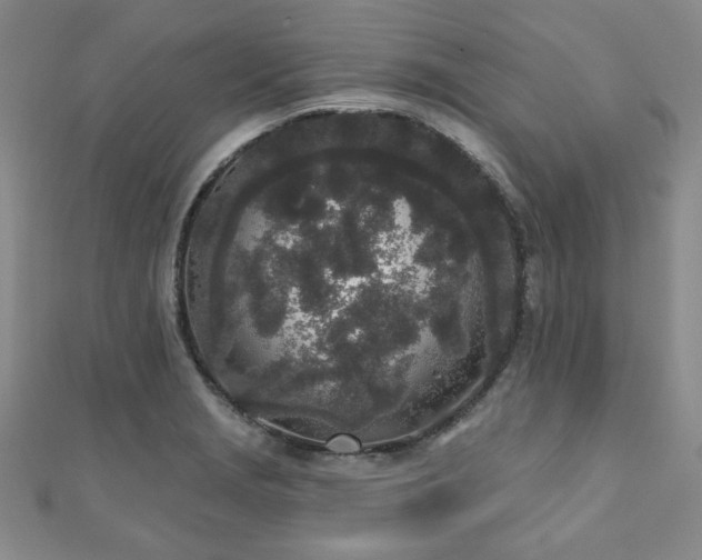 X0000110861229200906181134