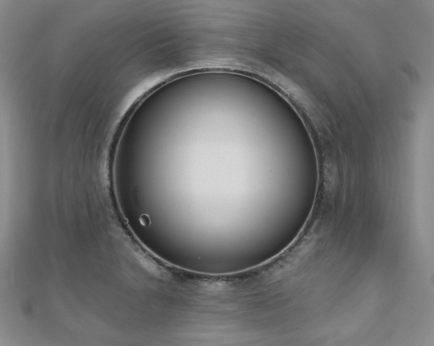 X0000110861230200906181134