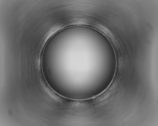 X0000110861234200906181135