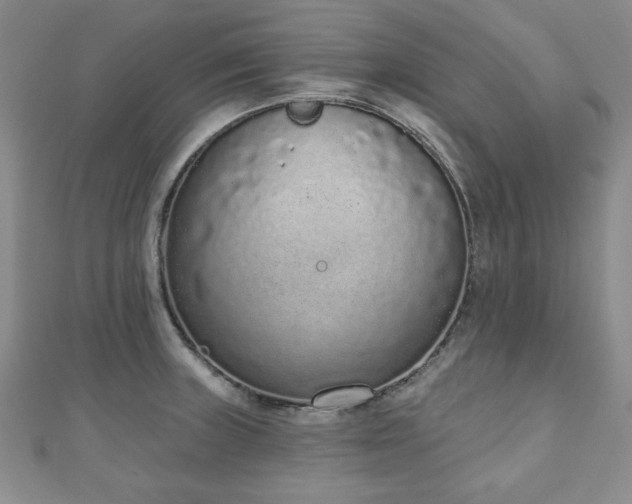 X0000110861235200906181135