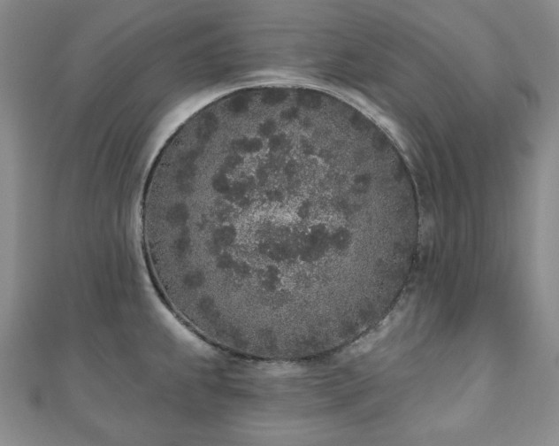 X0000110861239200906181135