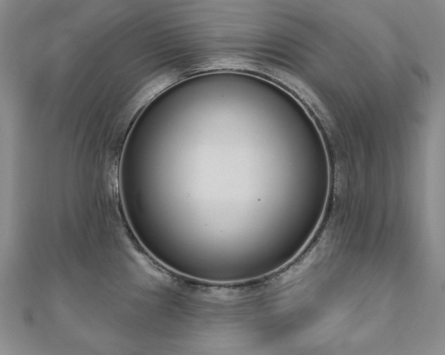 X0000110861241200906181135