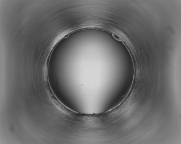 X0000110861242200906181135