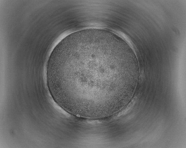 X0000110861243200906181135