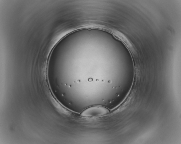 X0000110861244200906181135