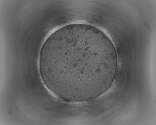 X0000110861245200906181135