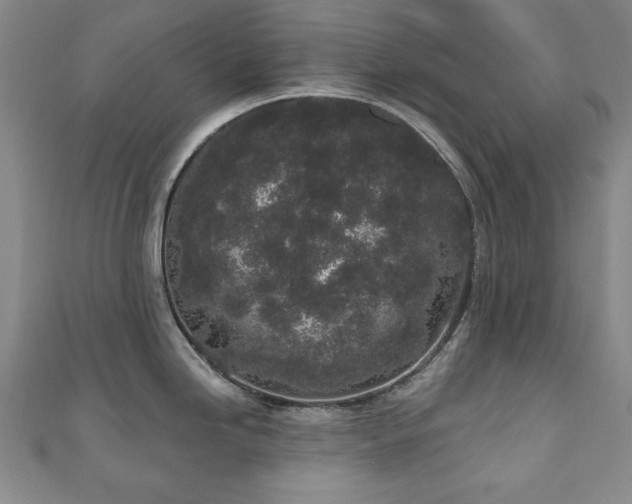 X0000110861246200906181135