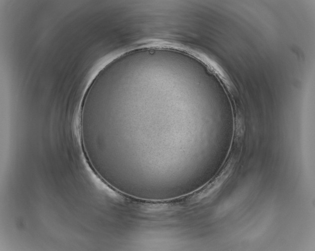 X0000110861247200906181135