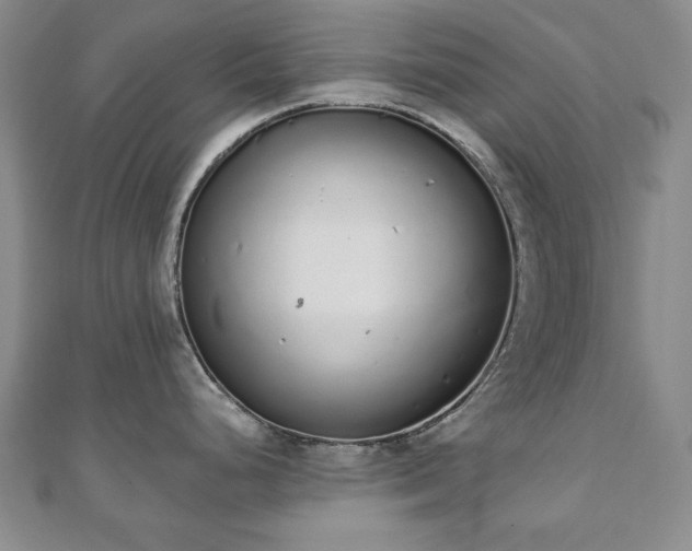 X0000110861248200906181135