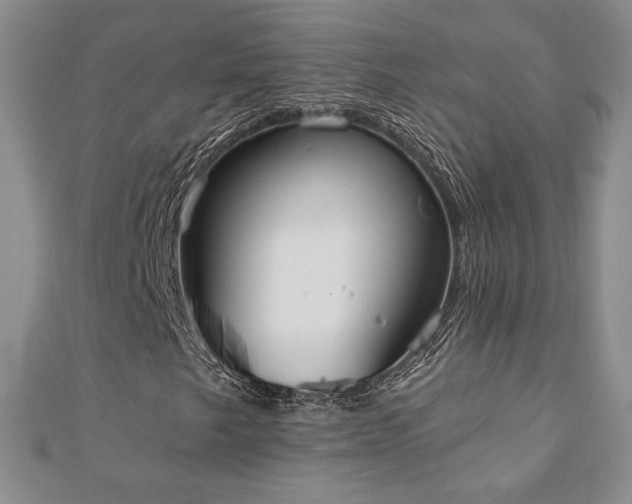 X0000110861249200906181134