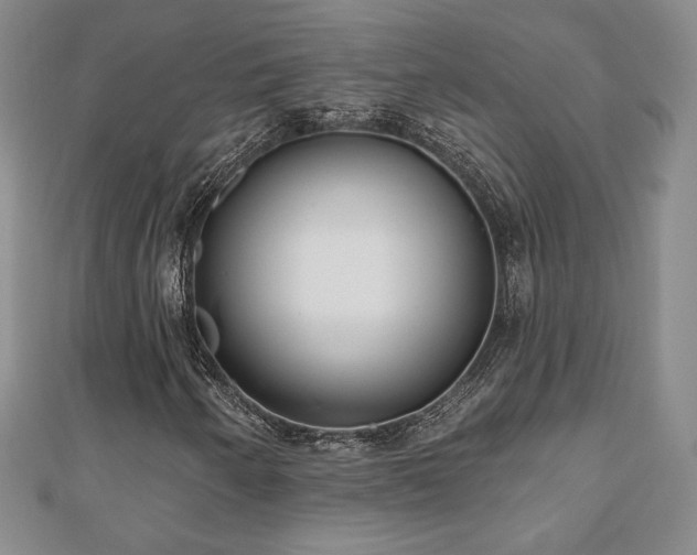 X0000110861250200906181134