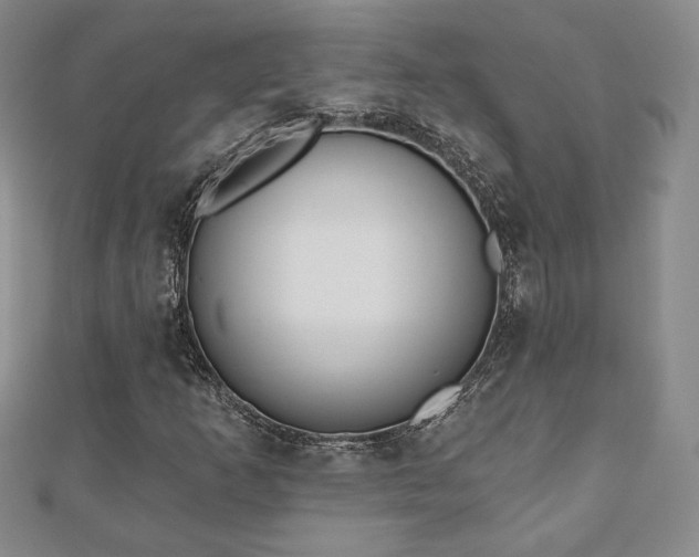X0000110861253200906181134