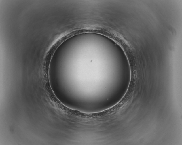 X0000110861256200906181134