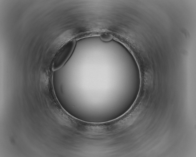 X0000110861257200906181134