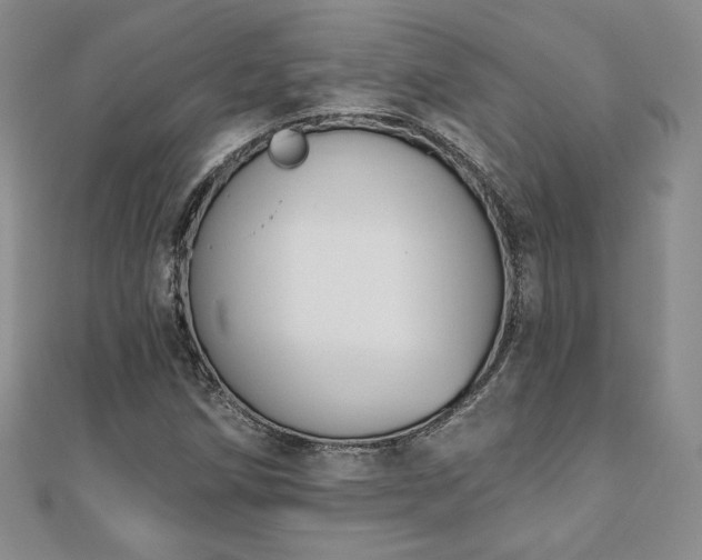 X0000110861258200906181134