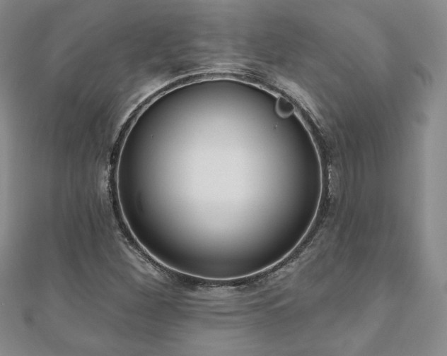 X0000110861260200906181134