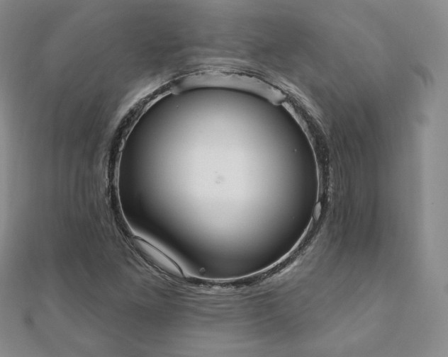 X0000110861261200906181134