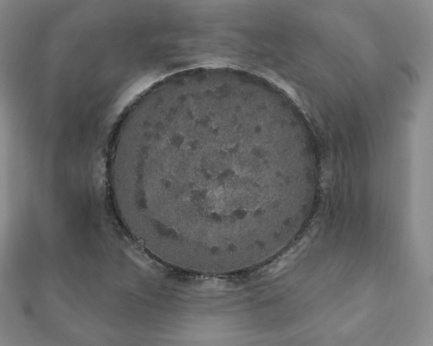 X0000110861263200906181134