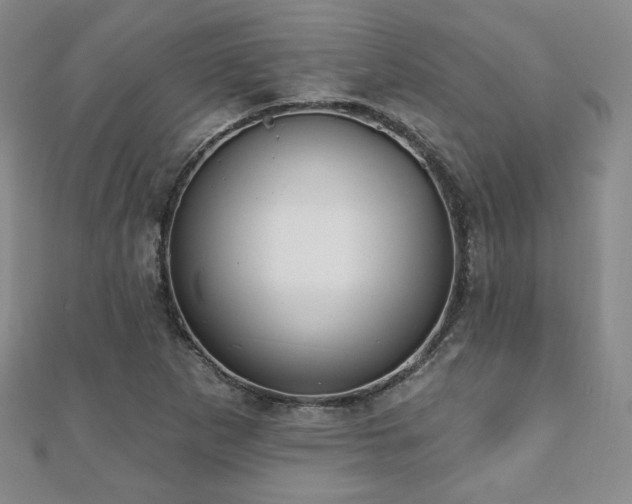 X0000110861265200906181134