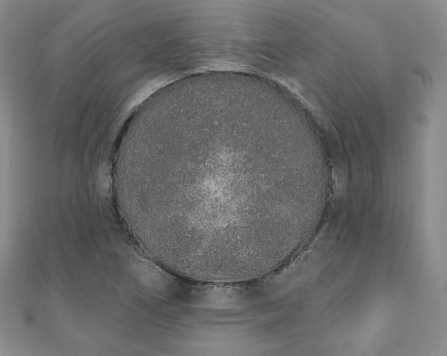 X0000110861266200906181134
