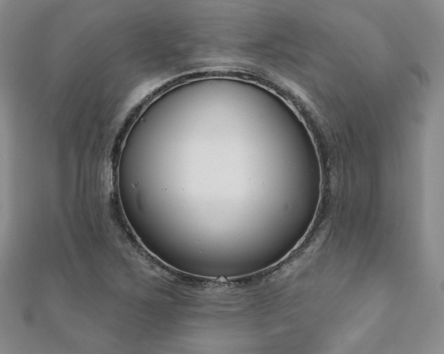 X0000110861267200906181134