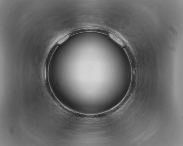 X0000110861269200906181134