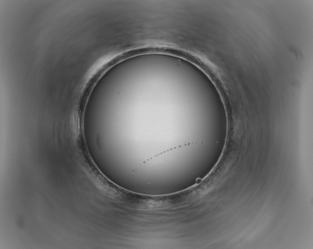 X0000110861271200906181134