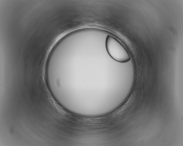 X0000110861272200906181134