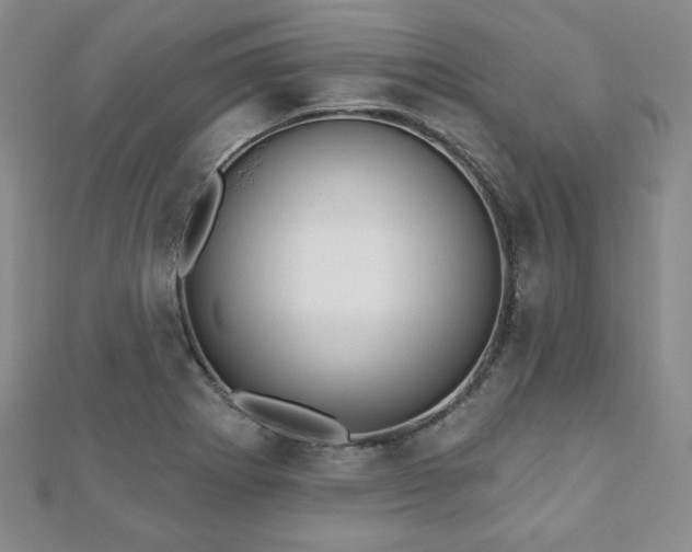 X0000110861273200906181134