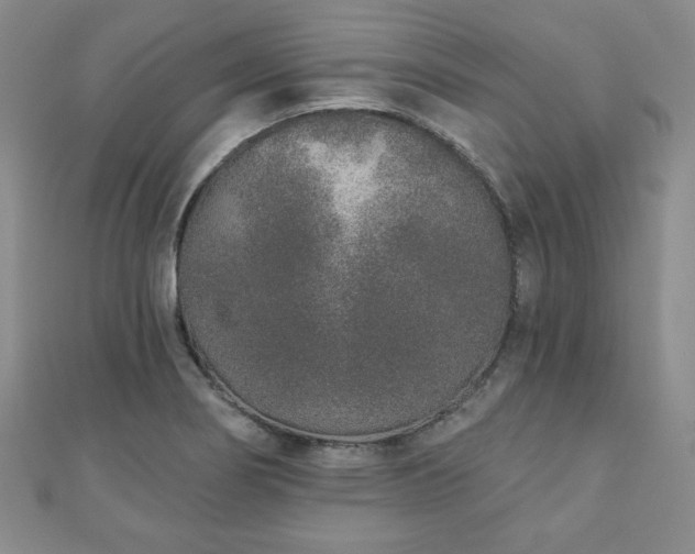 X0000110861274200906181134