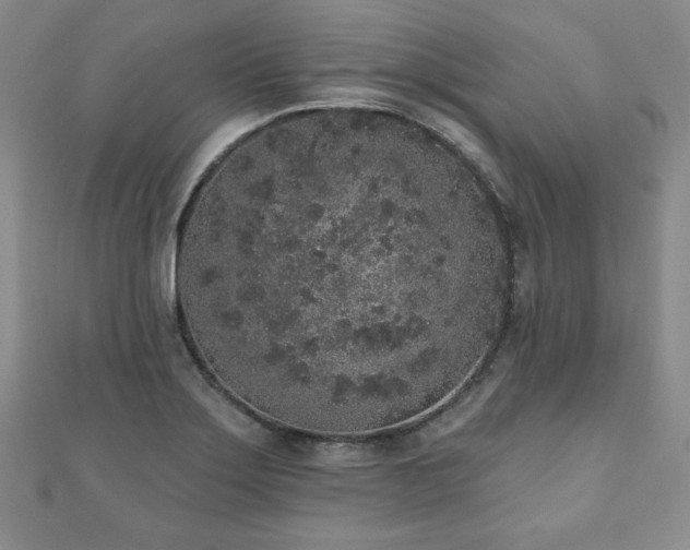 X0000110861275200906181134