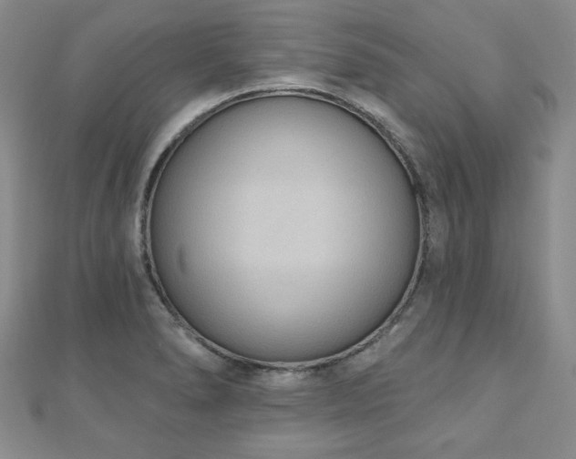 X0000110861278200906181134