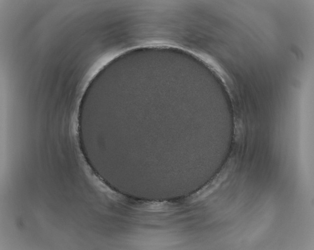 X0000110861279200906181134