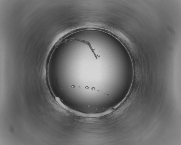 X0000110861280200906181134