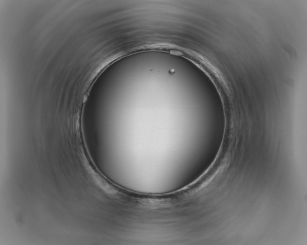 X0000110861281200906181134
