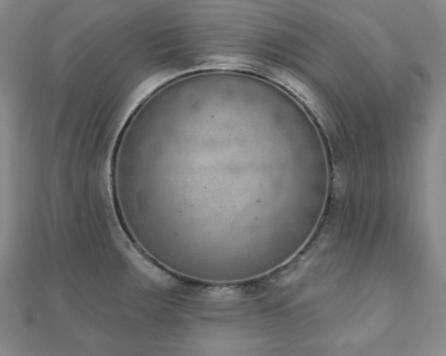 X0000110861283200906181134