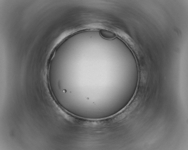 X0000110861286200906181134